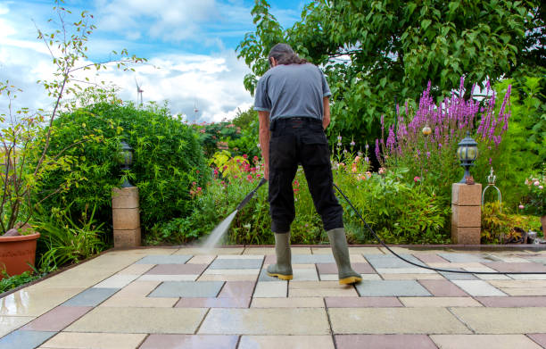Animal Enclosure Cleaning in Apple Valley, OH